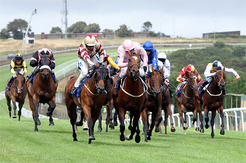 Colonial Downs Online Handicapping Challenge Contest Virginia Horse Racing [ 2048 x 2560 Pixel ]