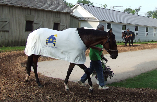 A Morning On The Saratoga Backstretch