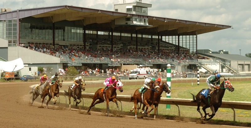 finger lakes horse racing betting odds