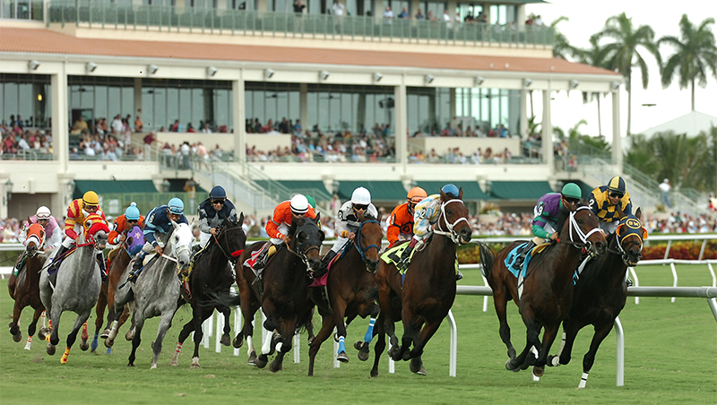 Horse Racing Nation Horseracingnation Com