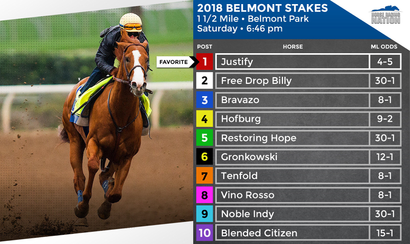 Belmont Stakes Odds 2024: Bet on Belmont Online