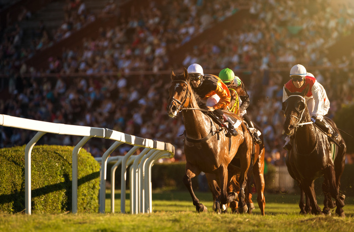 horseracingnation com