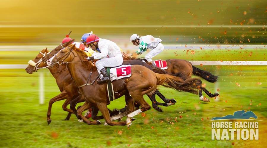 professional horse racing tips